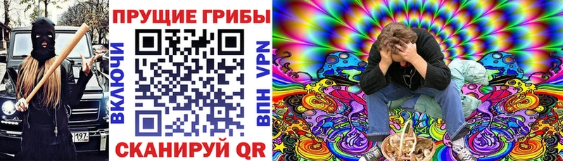 Галлюциногенные грибы прущие грибы  Покров 